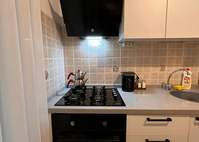 Apartament 2 Odali *